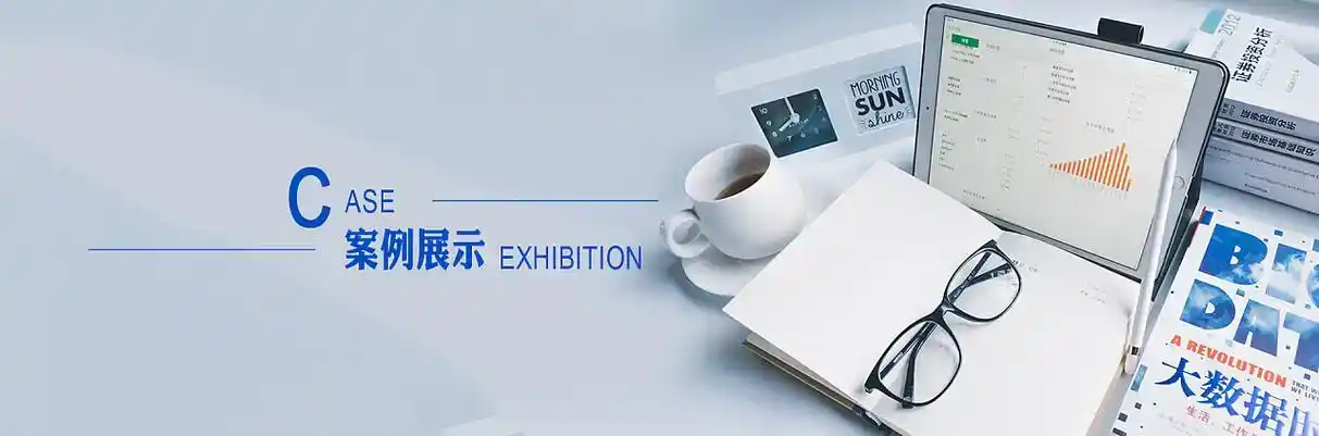 福海县软件开发